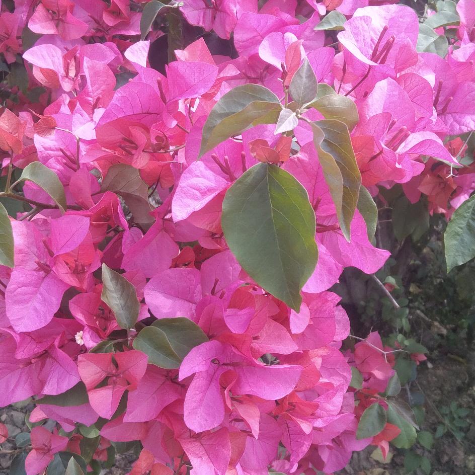 未来会更好