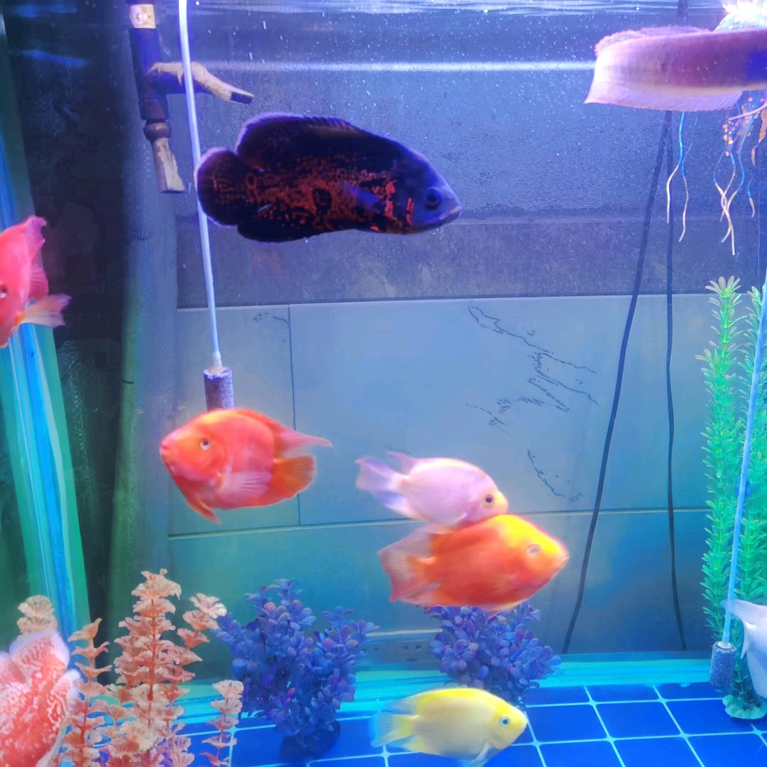 海浪