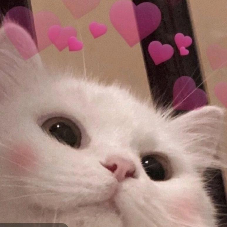 💞ꦿ᭄࿆ღ余生温柔࿐💞ꦿ᭄࿆