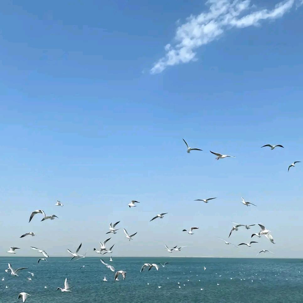 老孔