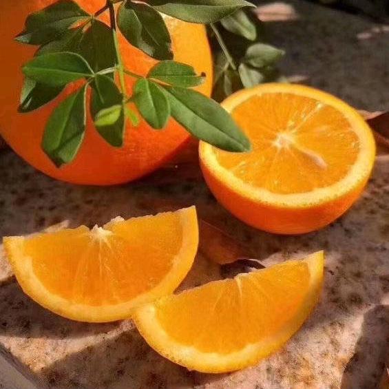 愿新的征程一飞冲天