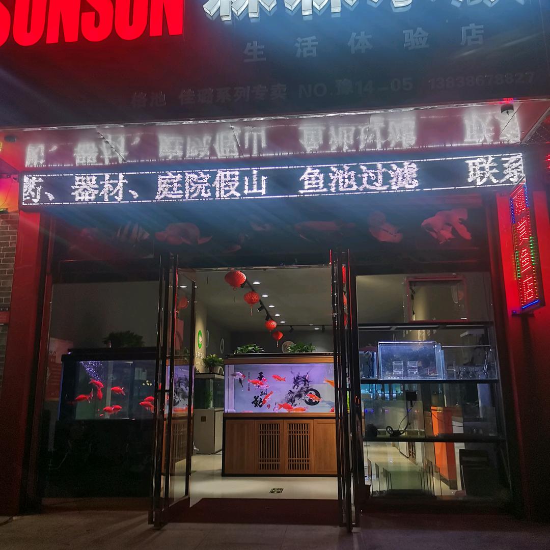 项城森森水族（市标店）