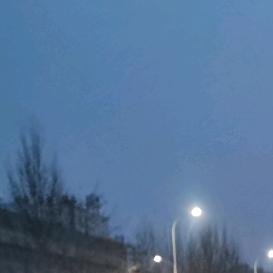 玉树繁华