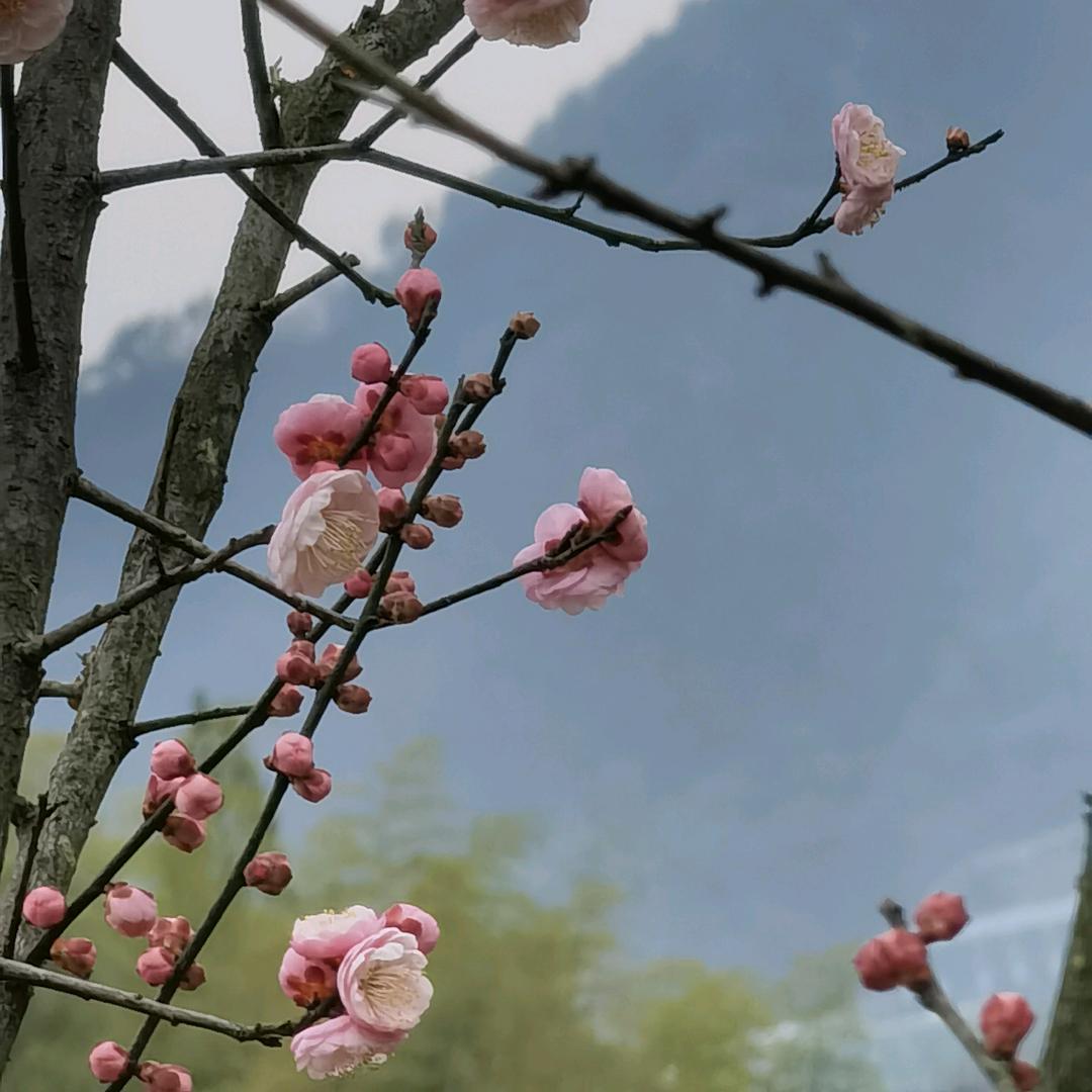 肥皂快乐水