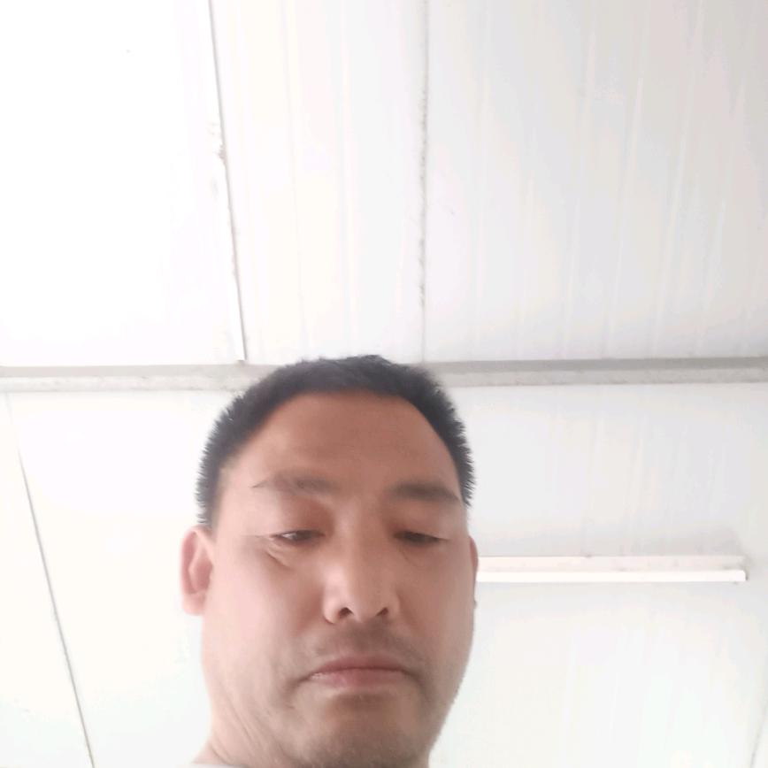 十闫螃蟹上市了