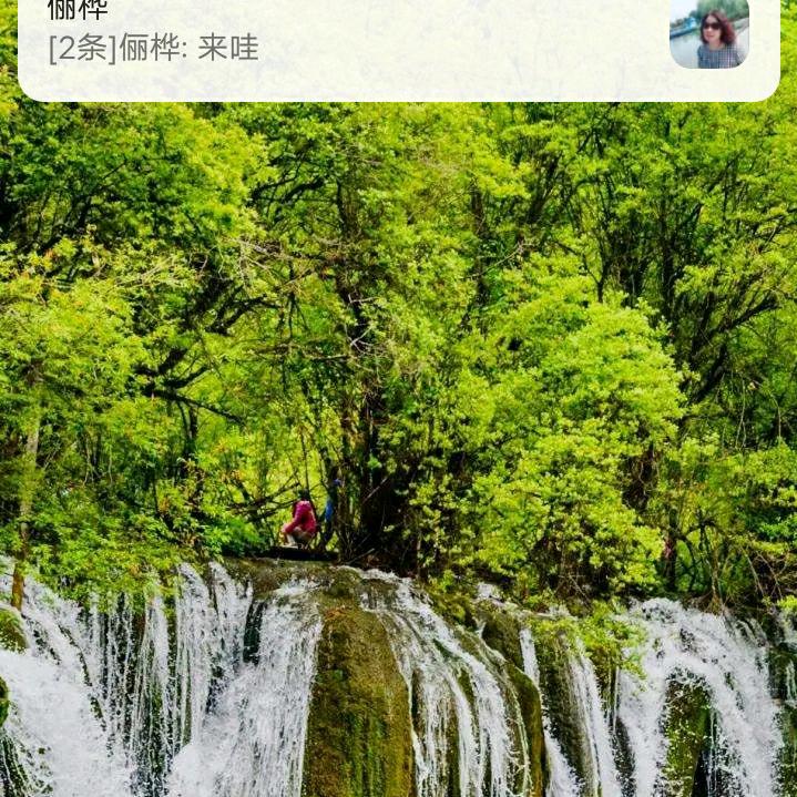 WuBi重头开始