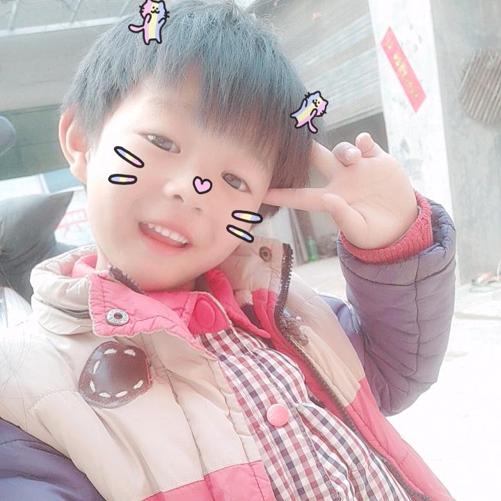 张哲