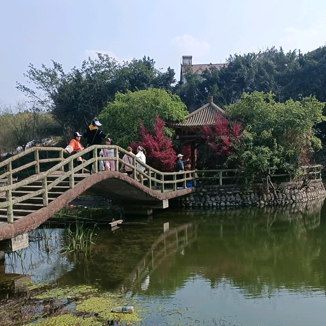 莲花妹