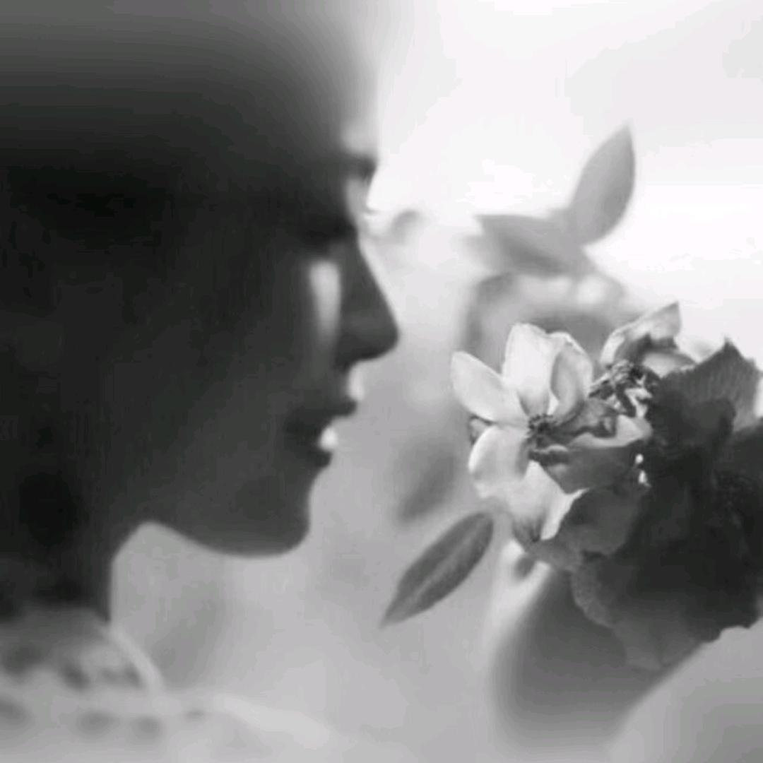 小茉莉～柯柯老师