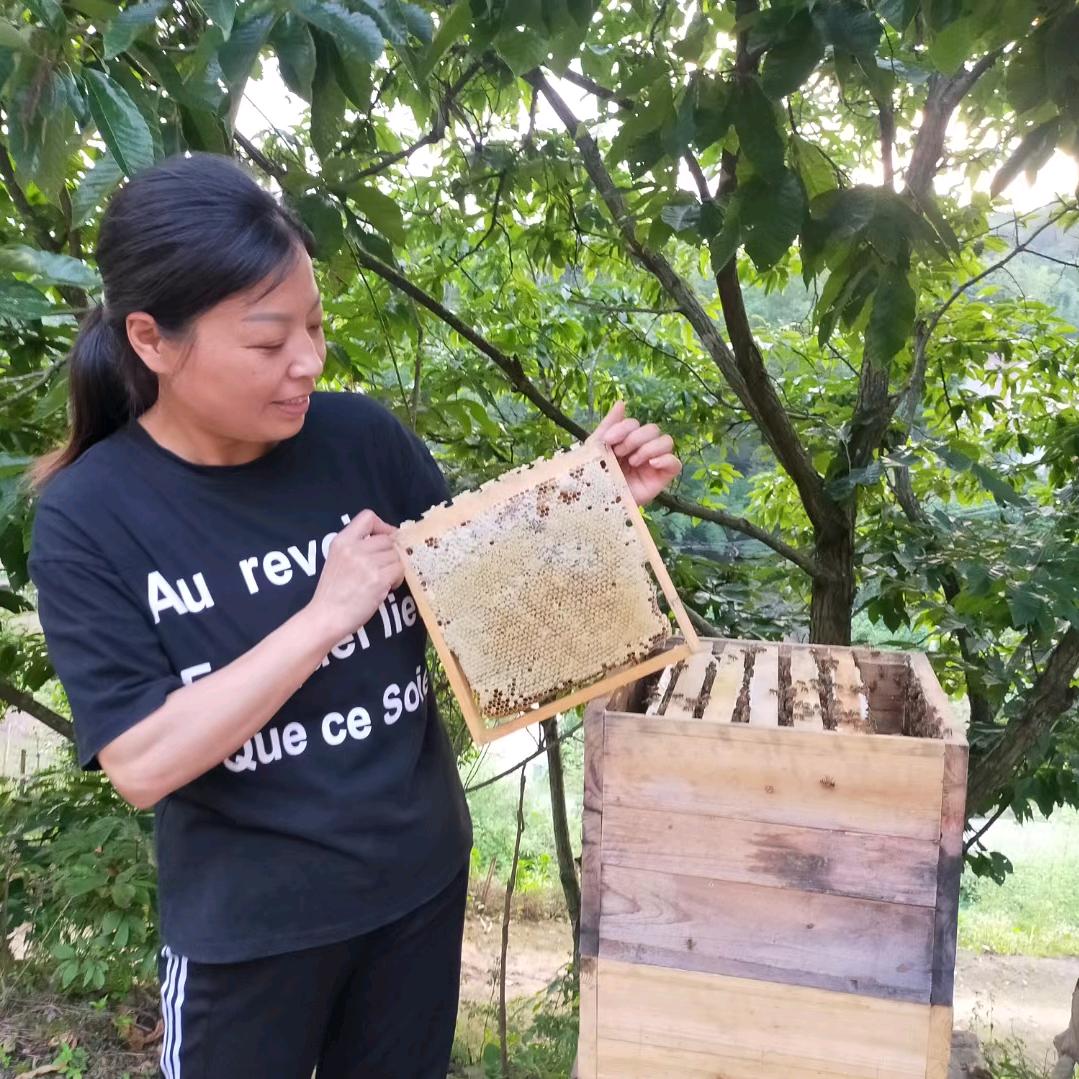 🇨🇳大别山养蜂人家