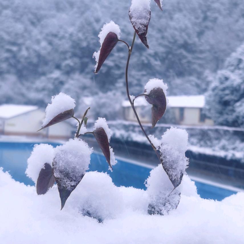 仁德温闲园餐馆
