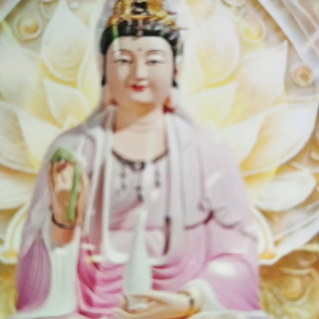 东北金姐🙏🙏🙏