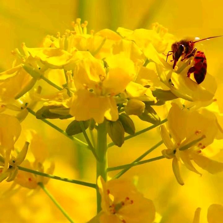 💝💗菊💐🇷🇺(拒绝私聊)
