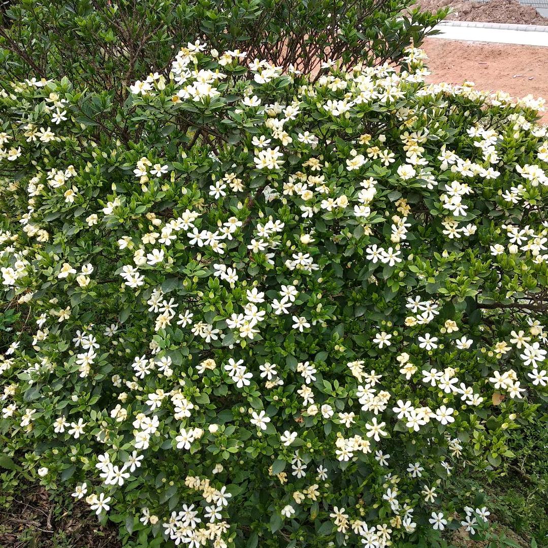 用户3773200894699叁佰叁