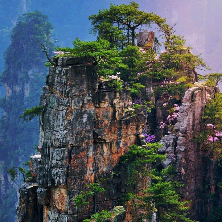 细品岁月2