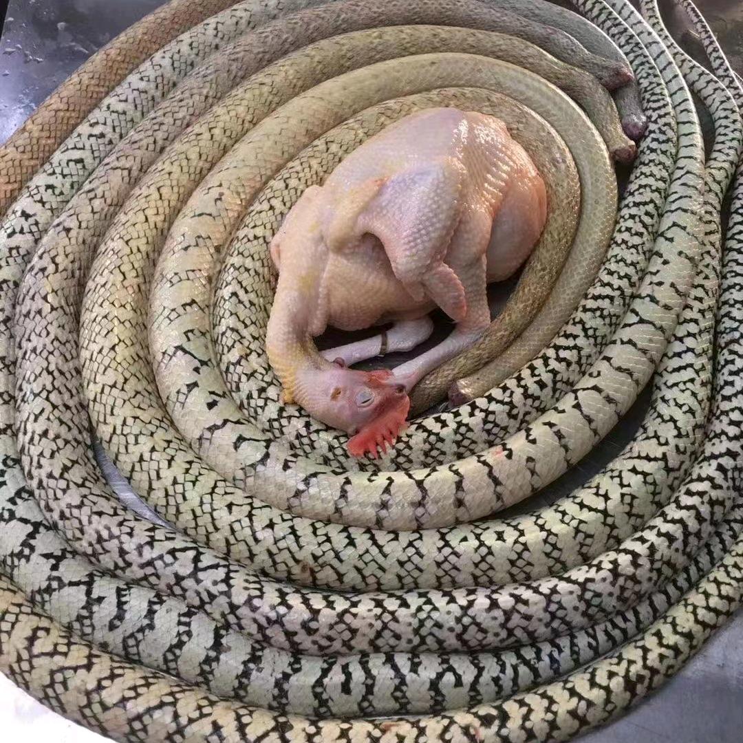 ‘十指紧扣（特色食材）