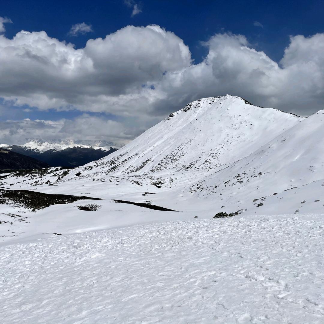 ✨多财💫多亿✨