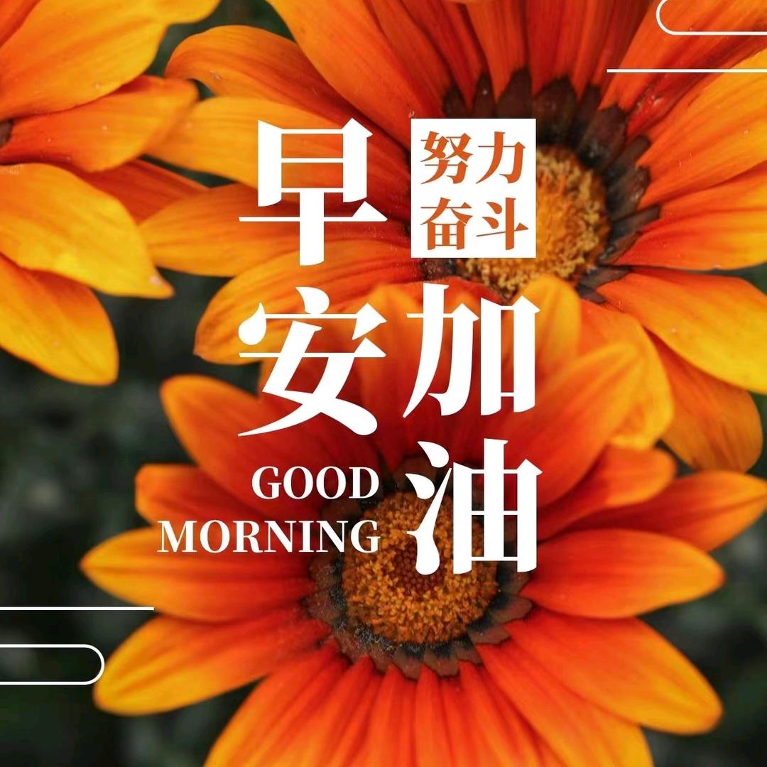 向阳而生