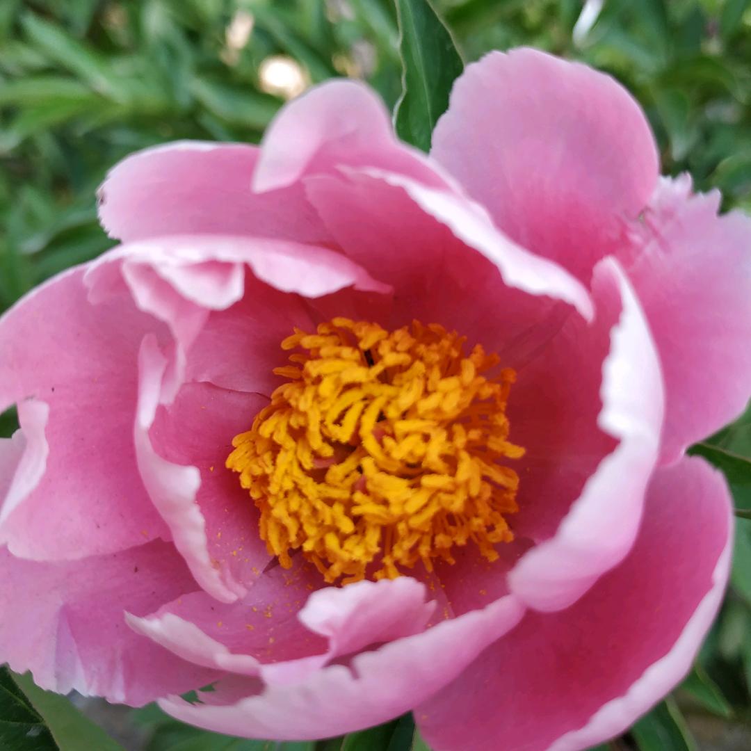 用户832084215116超妈