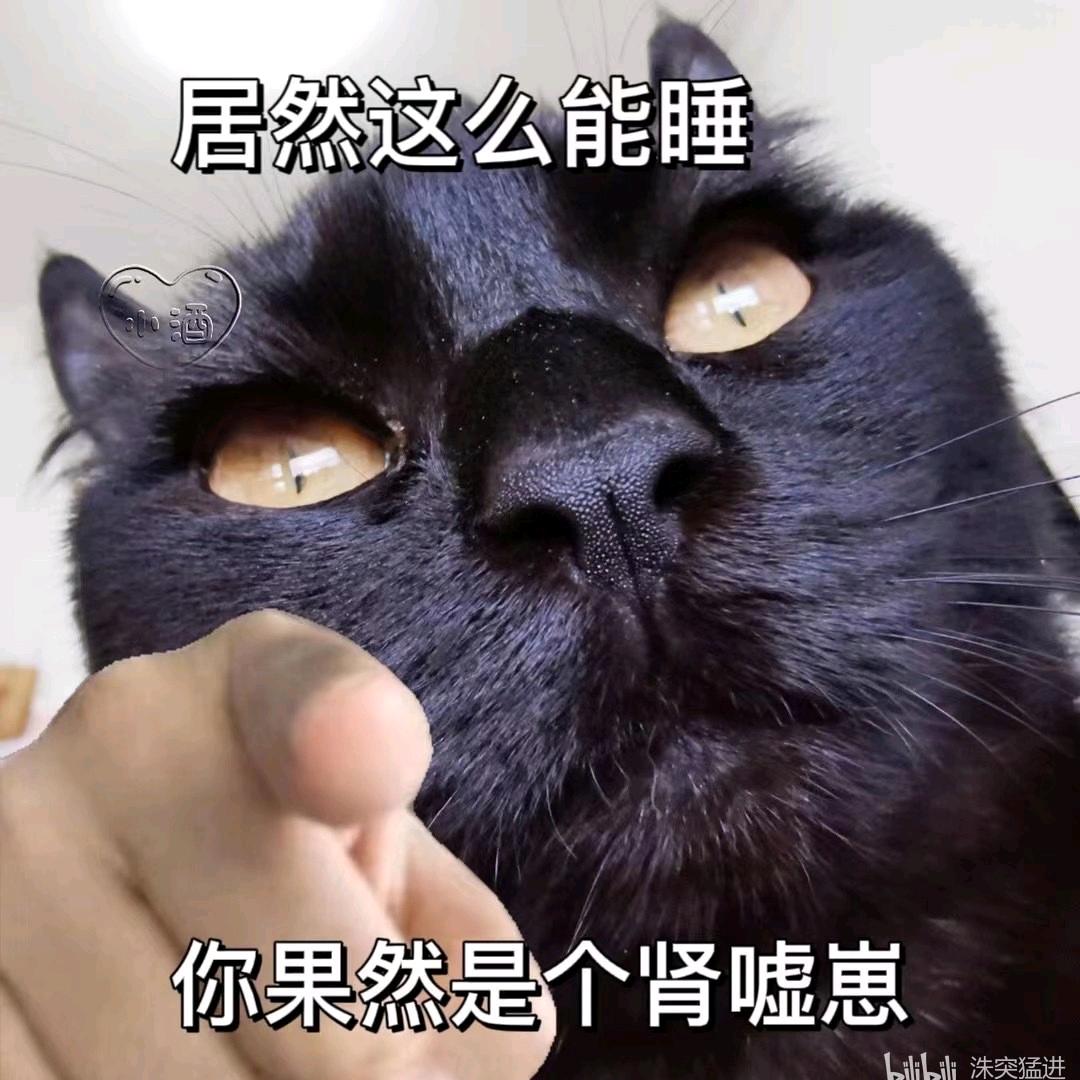 二条