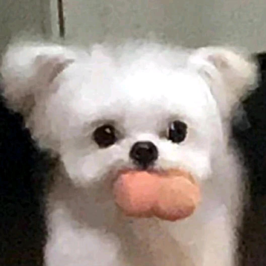 是居然耶