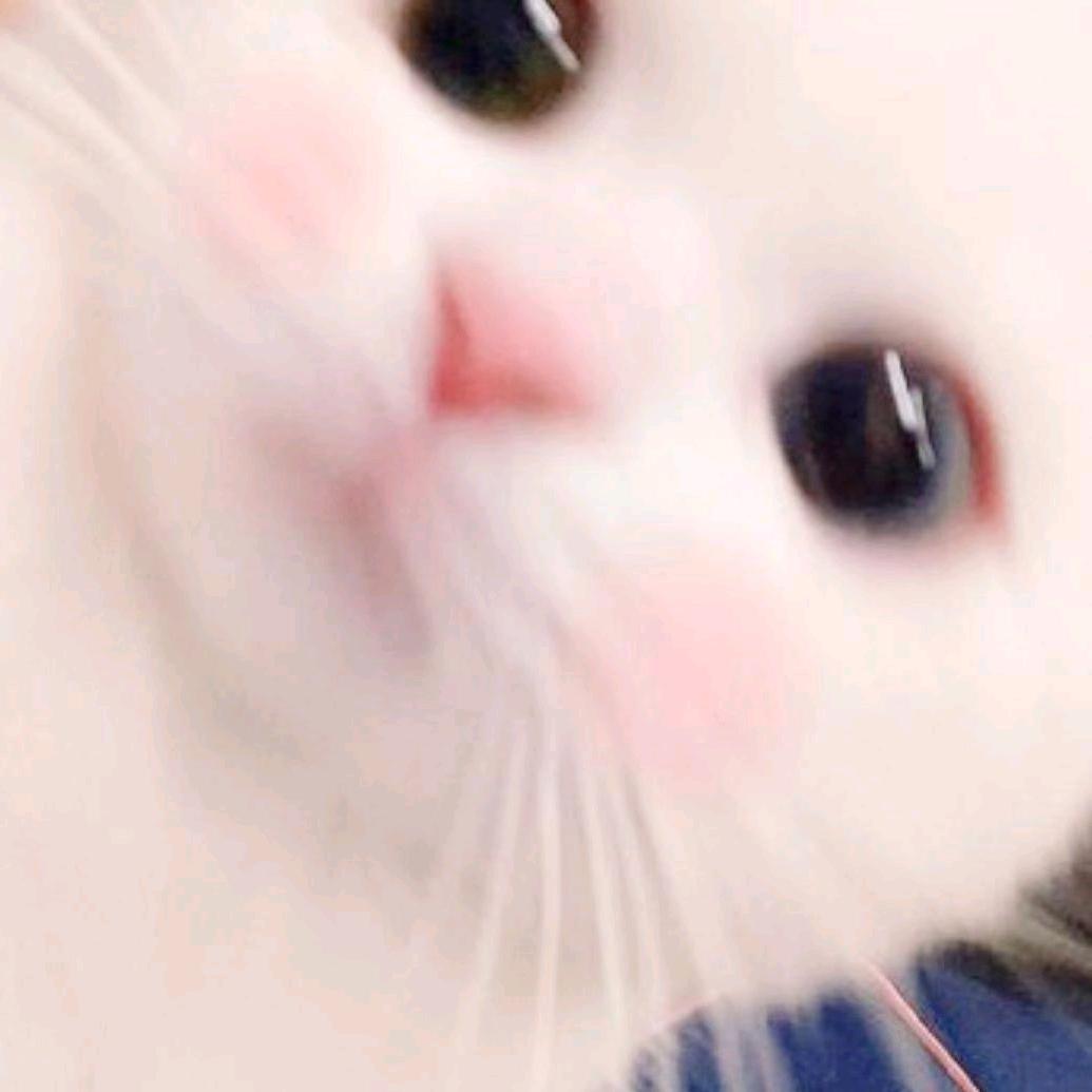 小y
