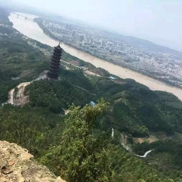 情感随缘(手机摄影)