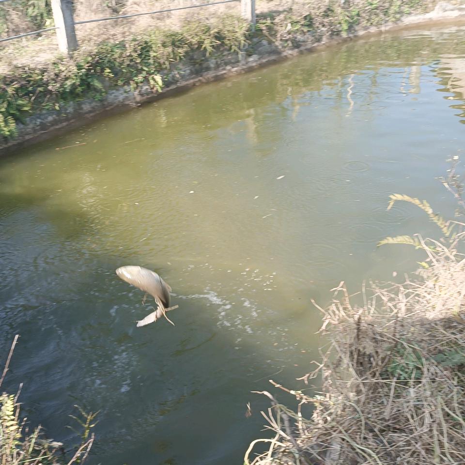 小傻瓜