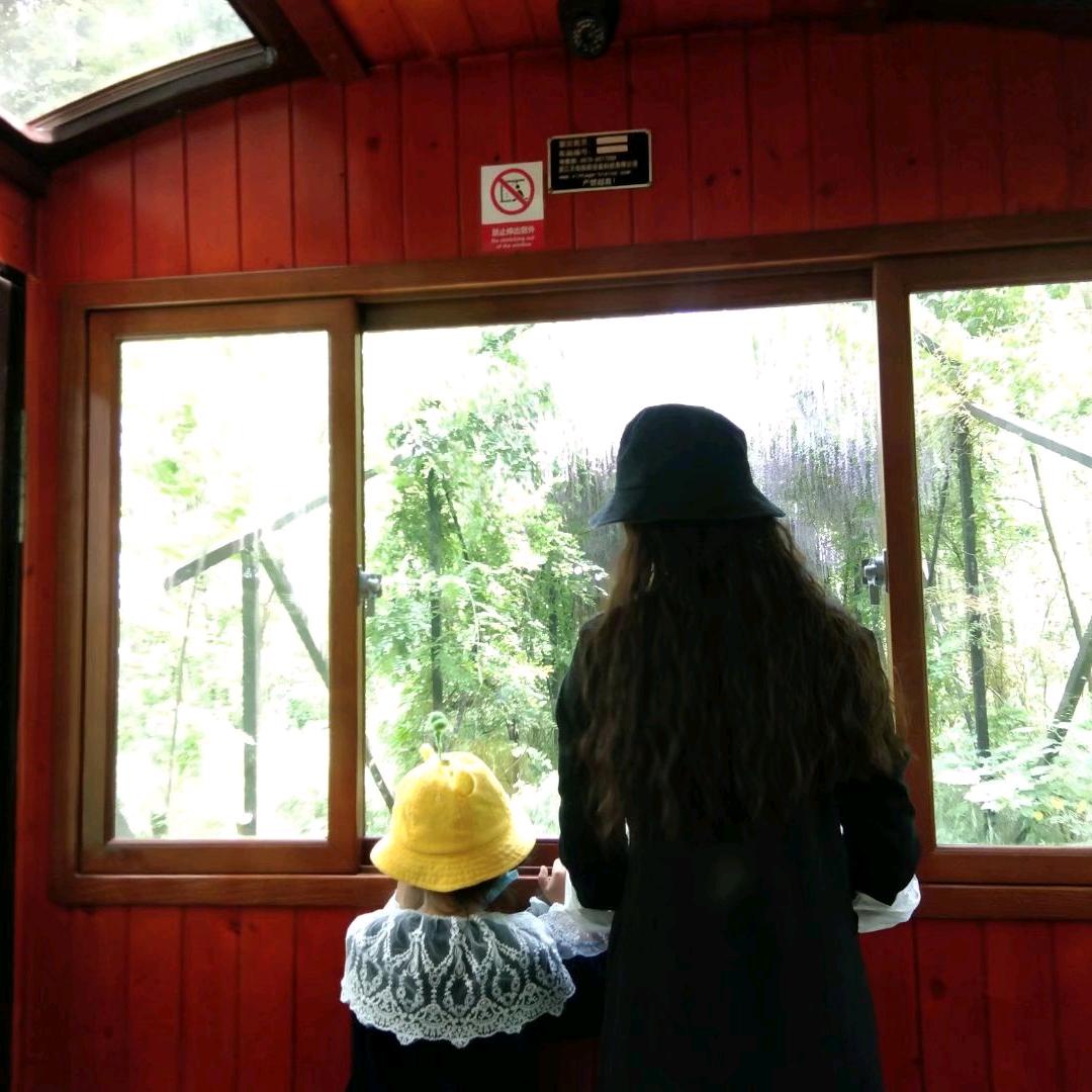 味派菜园子-苗苗（望江店）