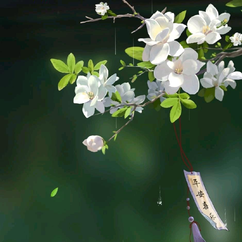 一半疯了一半算了