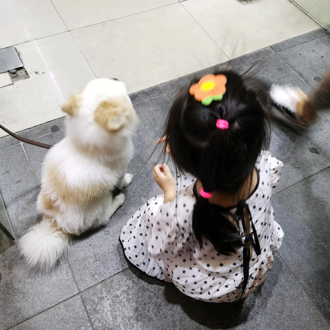 喵喵_小静