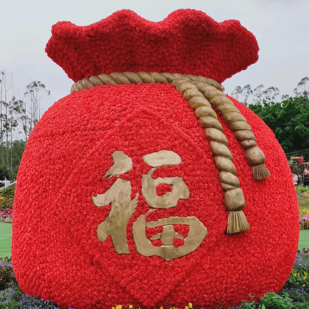 晨光