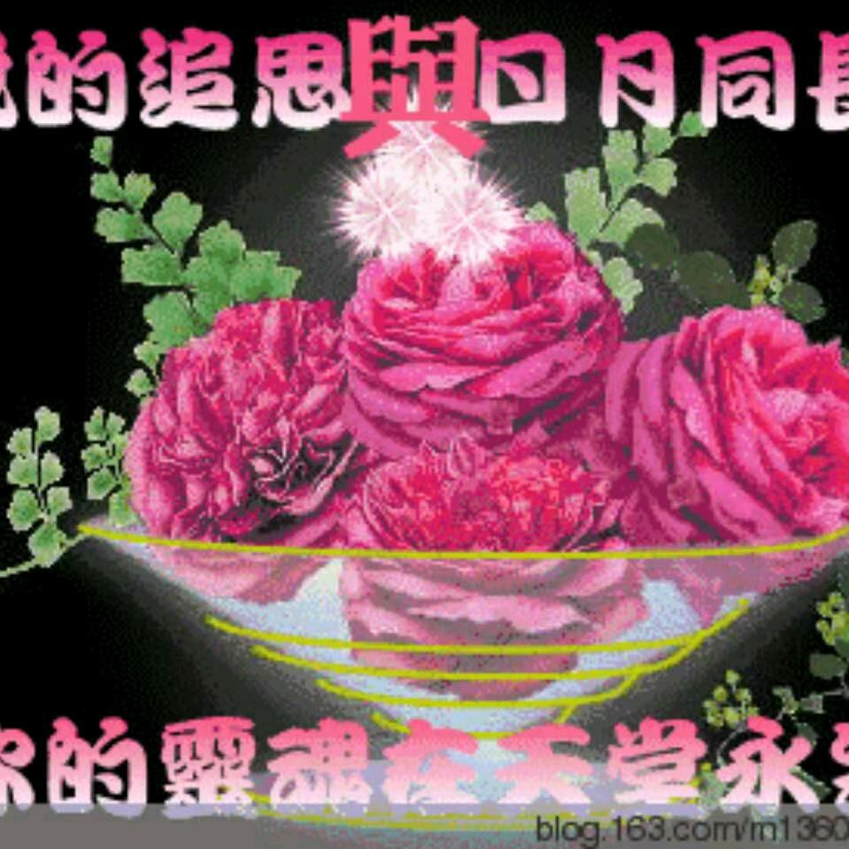 ♬ 春暖花开🌾