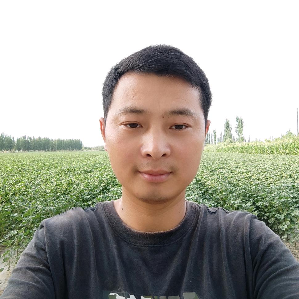 鲍金全