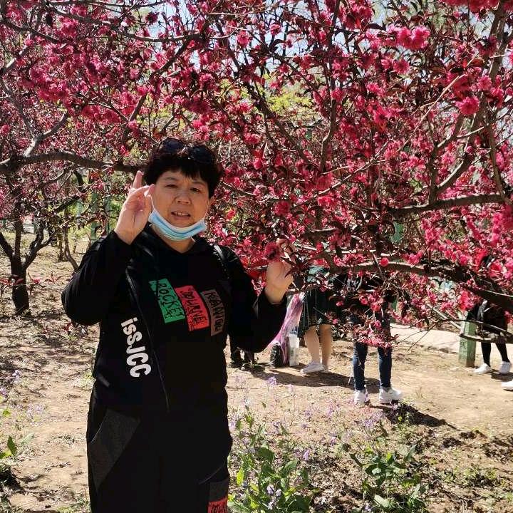 叮叮姥姥