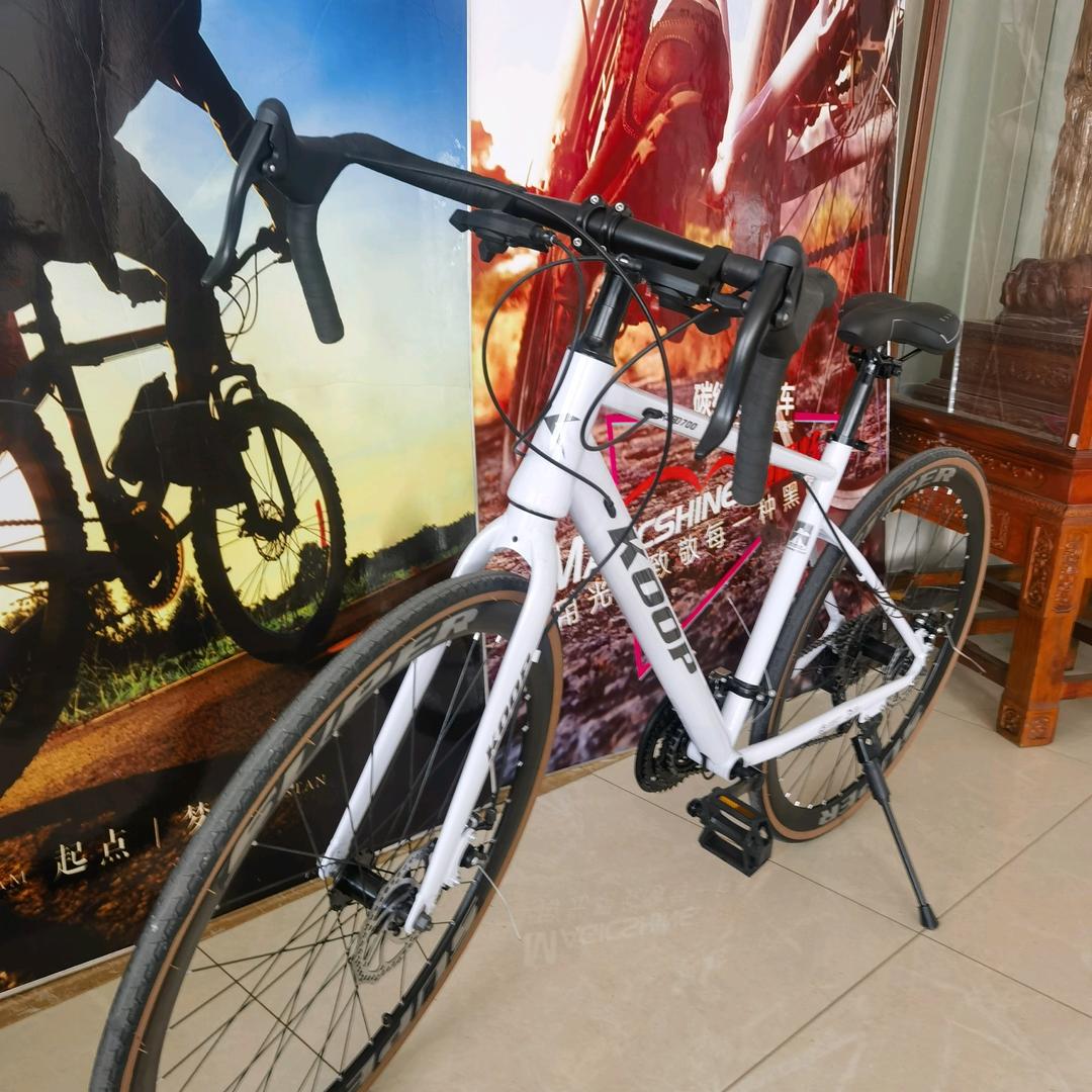 天津承启自行车