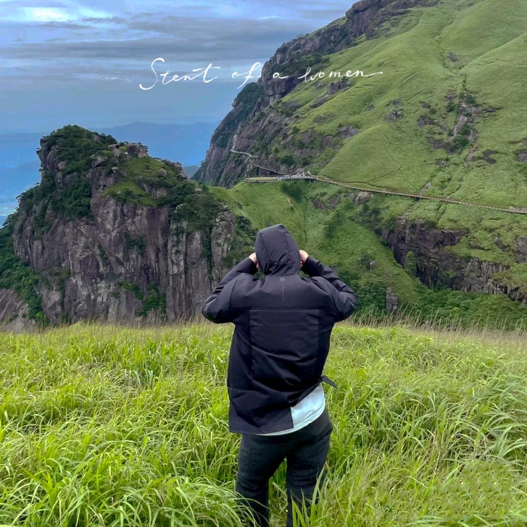 clearlove（博士努力毕业版）