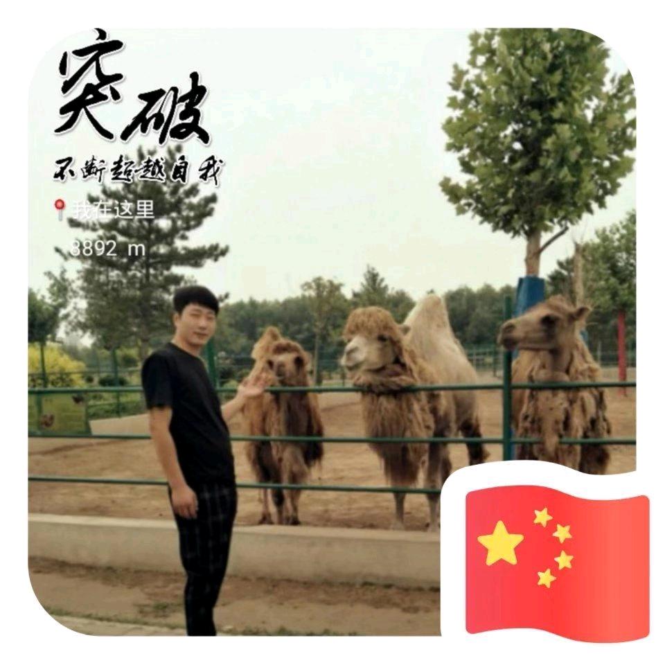 好好学习、天天向上。
