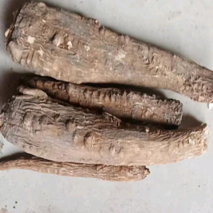 周口中药专业白芷白术防风（小号）