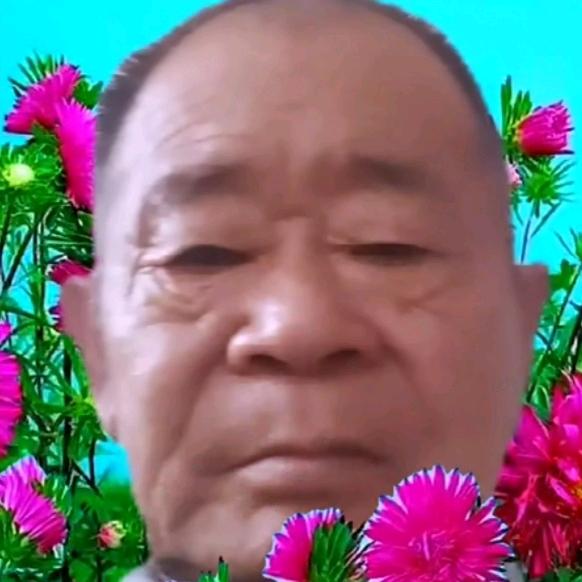 迪
