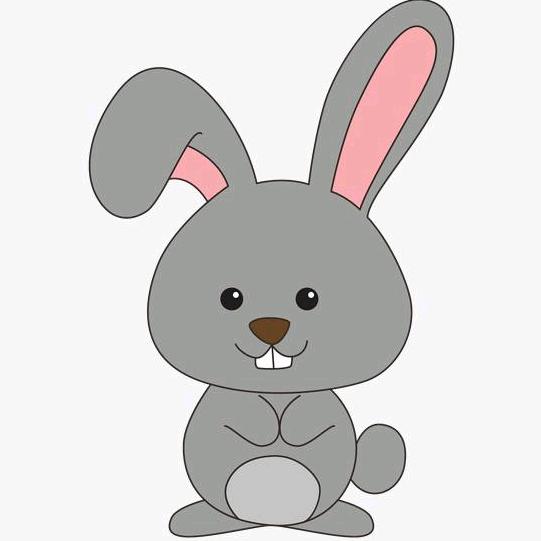 🌺农村来的李大姐🐰