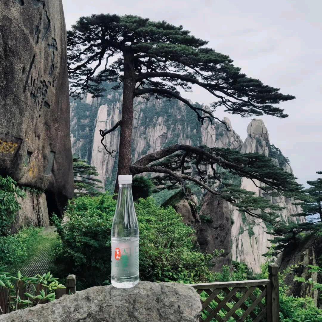 李外李，(60后的老虎丿