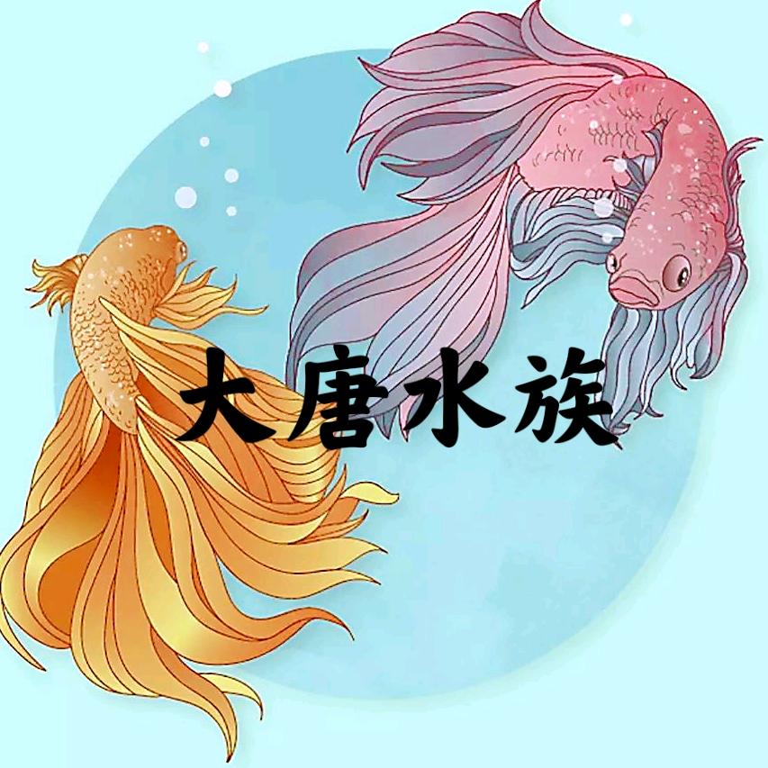 大唐水族 水族萌宠批发