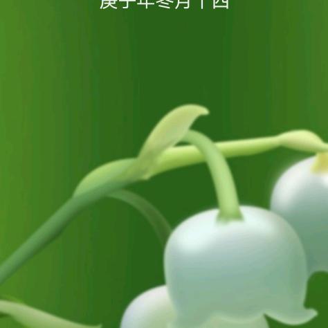 悠悠凤铃