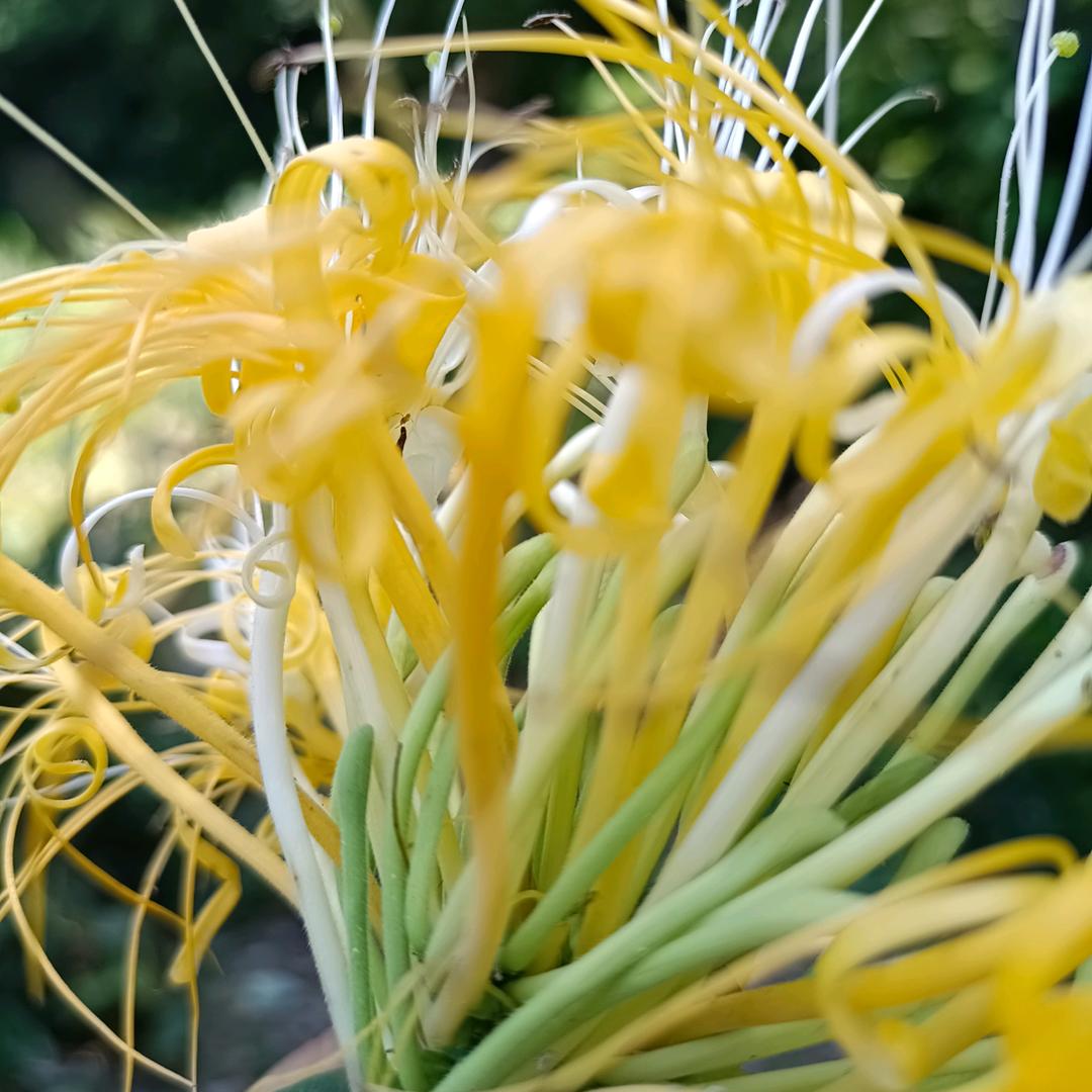 2024🐉魏我独尊🌹🌺🍏