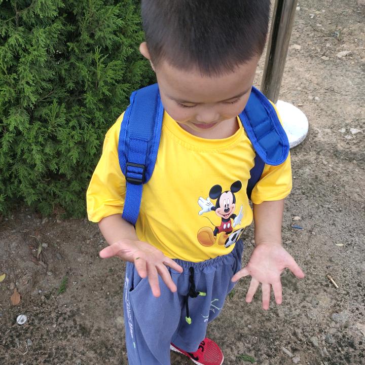 菊宇杰的故事
