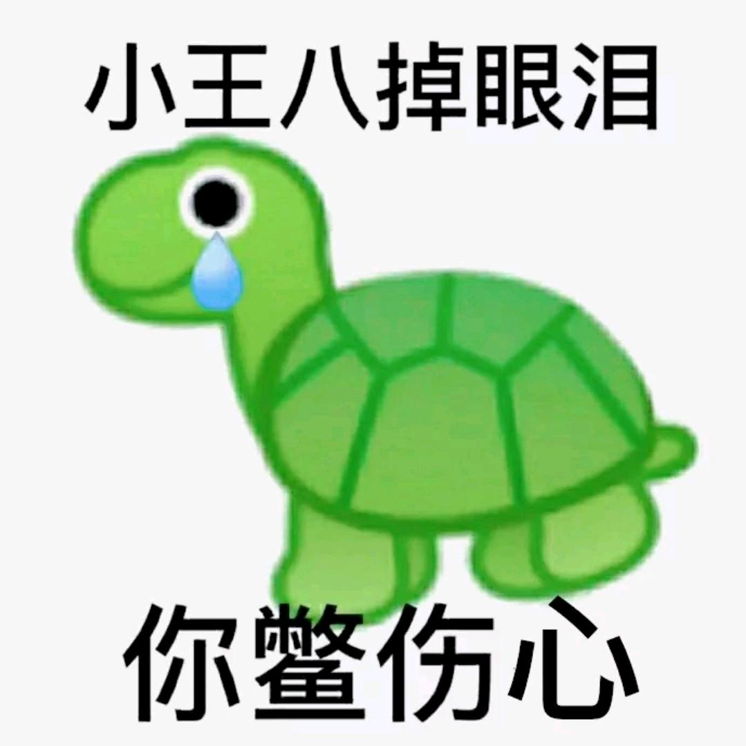 封心王八🐢
