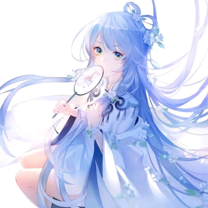 临沂蓝莓，有机的，天然的