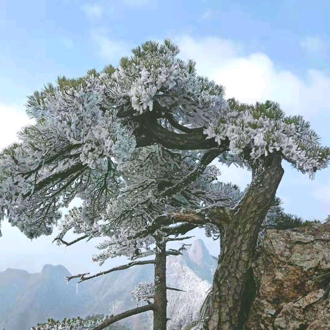 小利