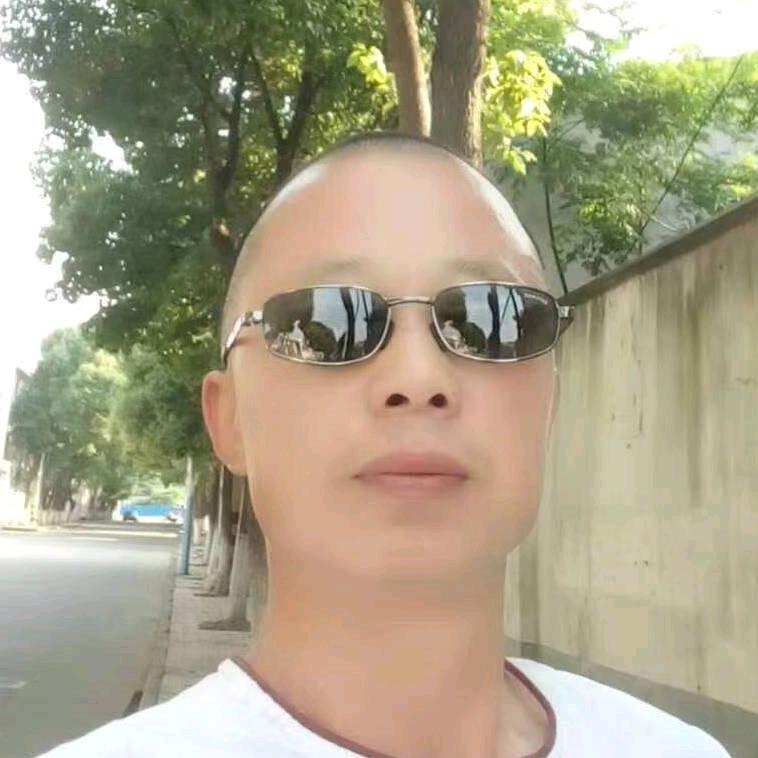 京城十二少